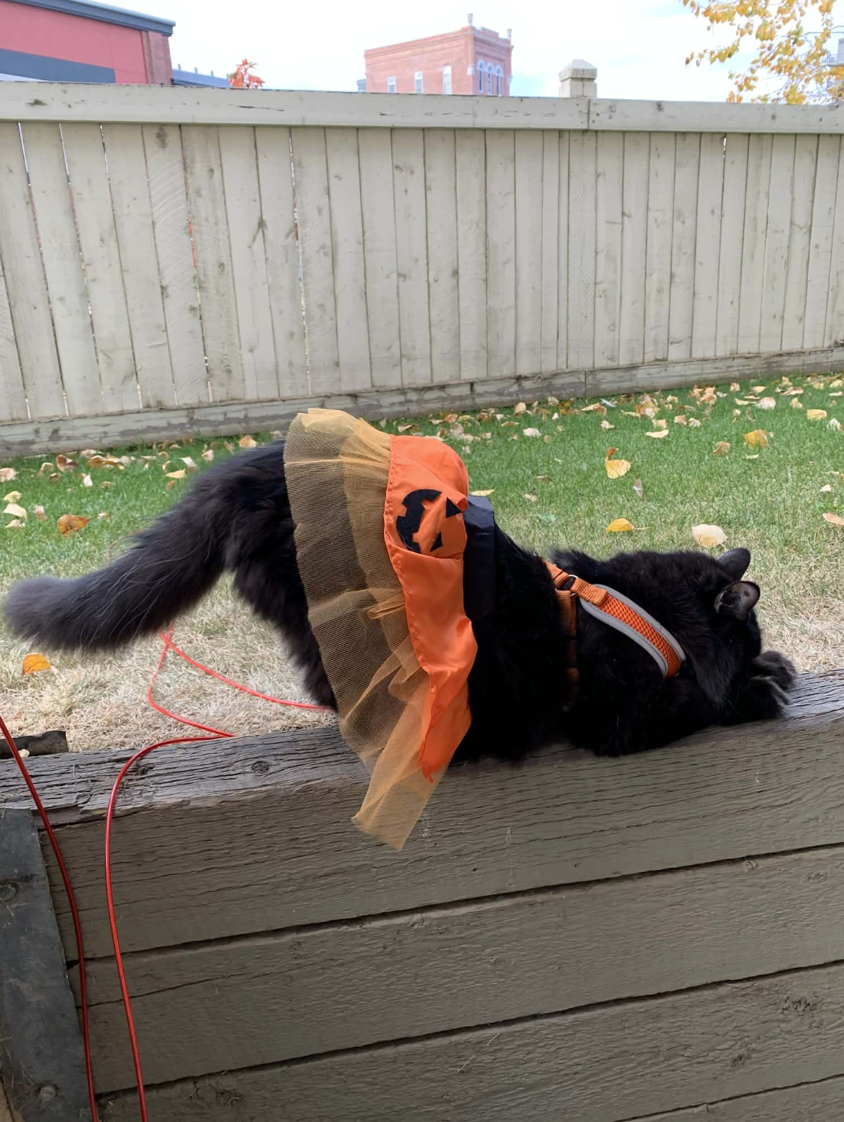 Screenshot 2026-03-04 at 10.28.04 AM.png