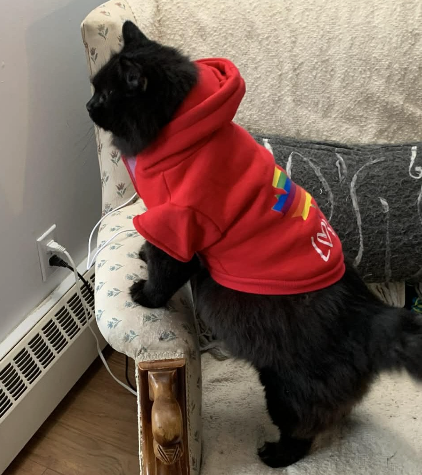 Screenshot 2026-03-04 at 10.27.30 AM.png