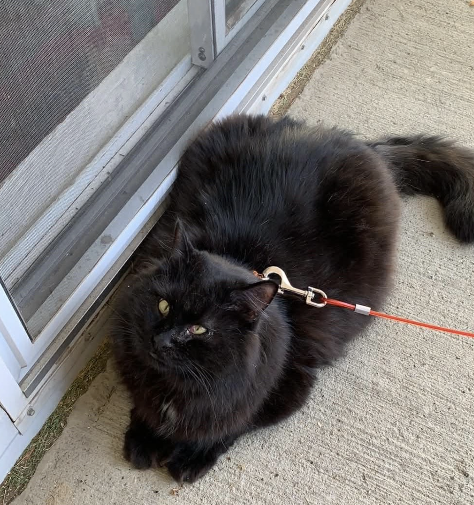 Screenshot 2026-03-04 at 10.27.42 AM.png