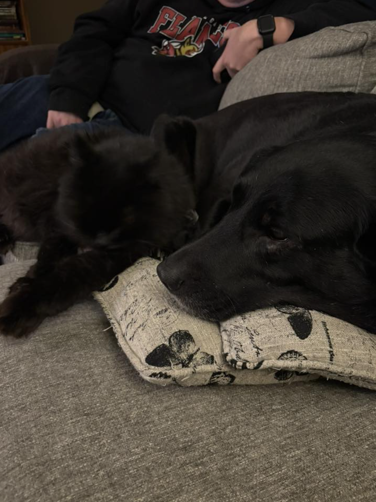 Screenshot 2026-03-04 at 10.24.50 AM.png