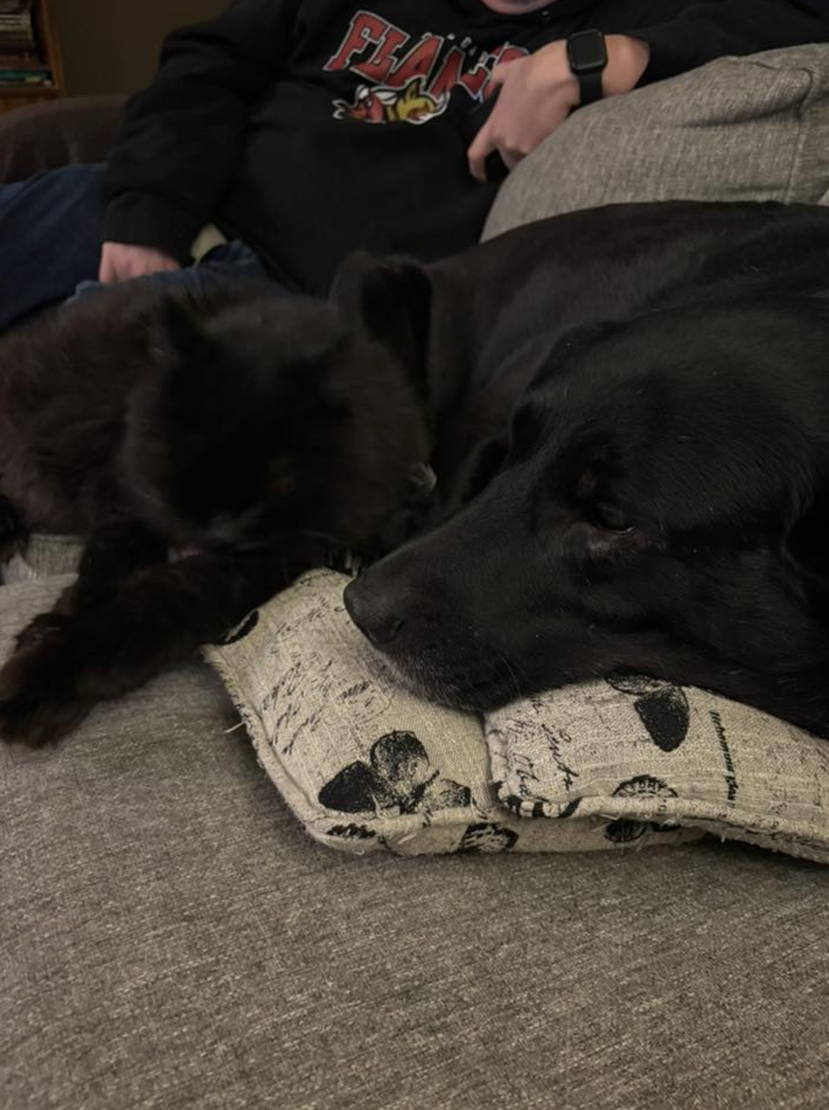 Screenshot 2026-02-10 at 12.31.32 PM.png