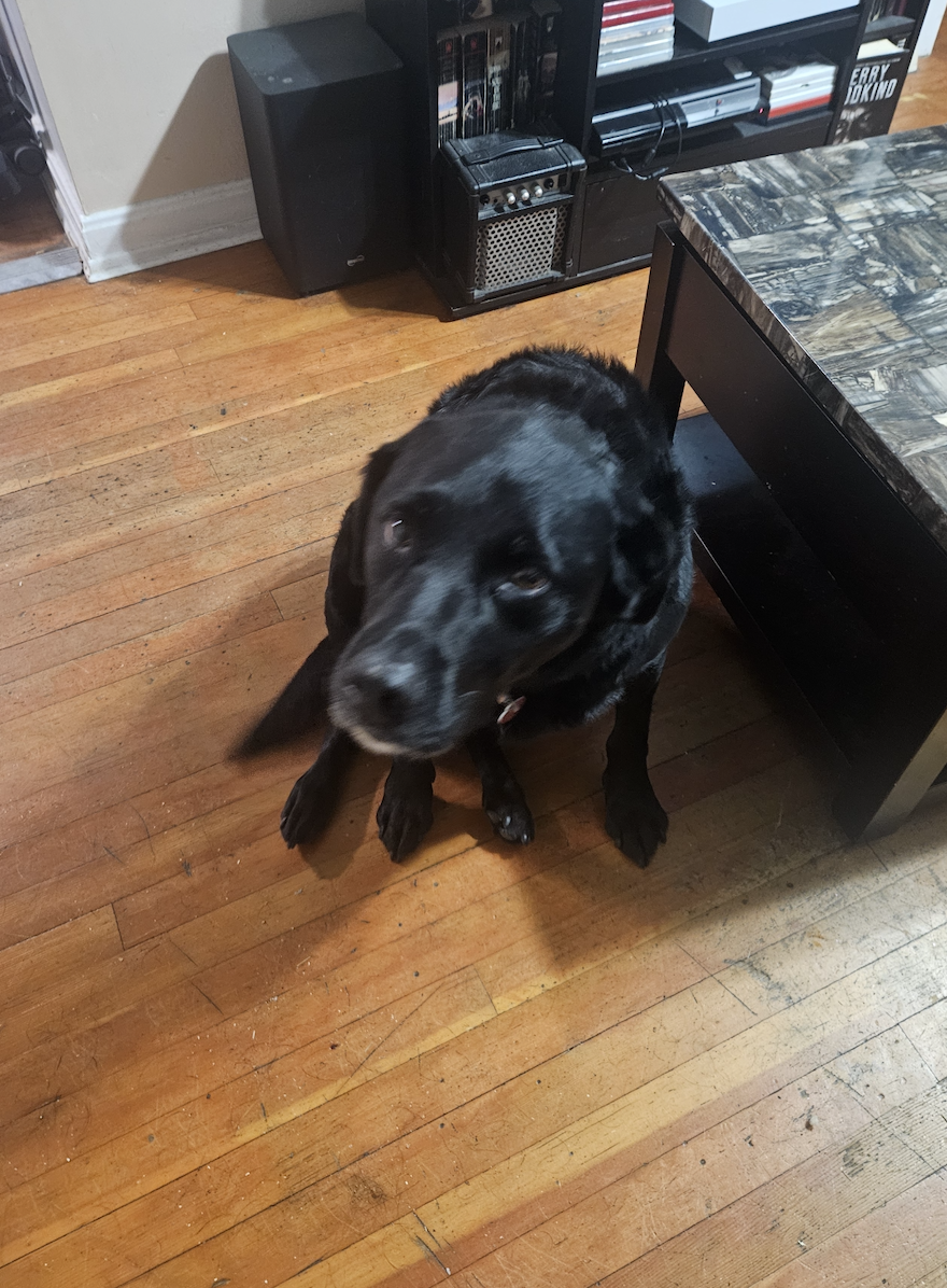 Screenshot 2026-03-15 at 5.38.56 PM.png