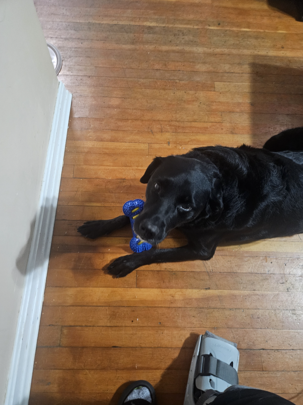 Screenshot 2026-03-15 at 5.39.11 PM.png