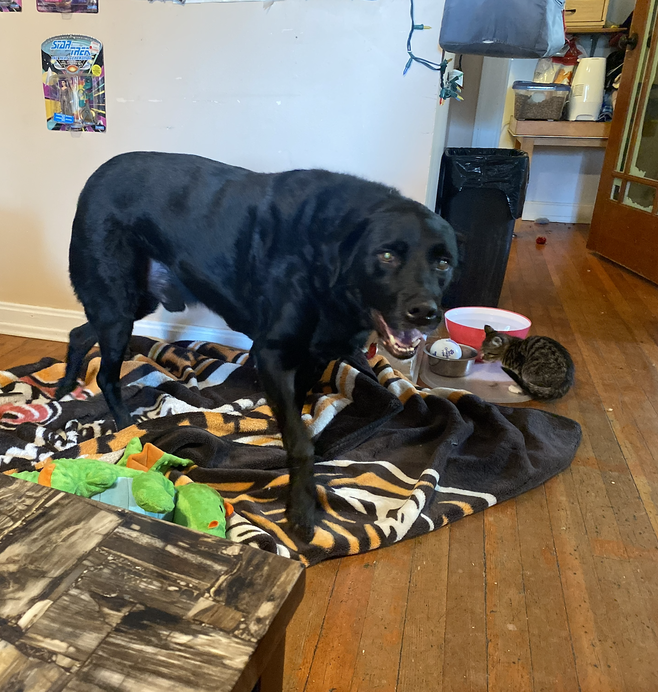 Screenshot 2026-03-15 at 5.38.21 PM.png