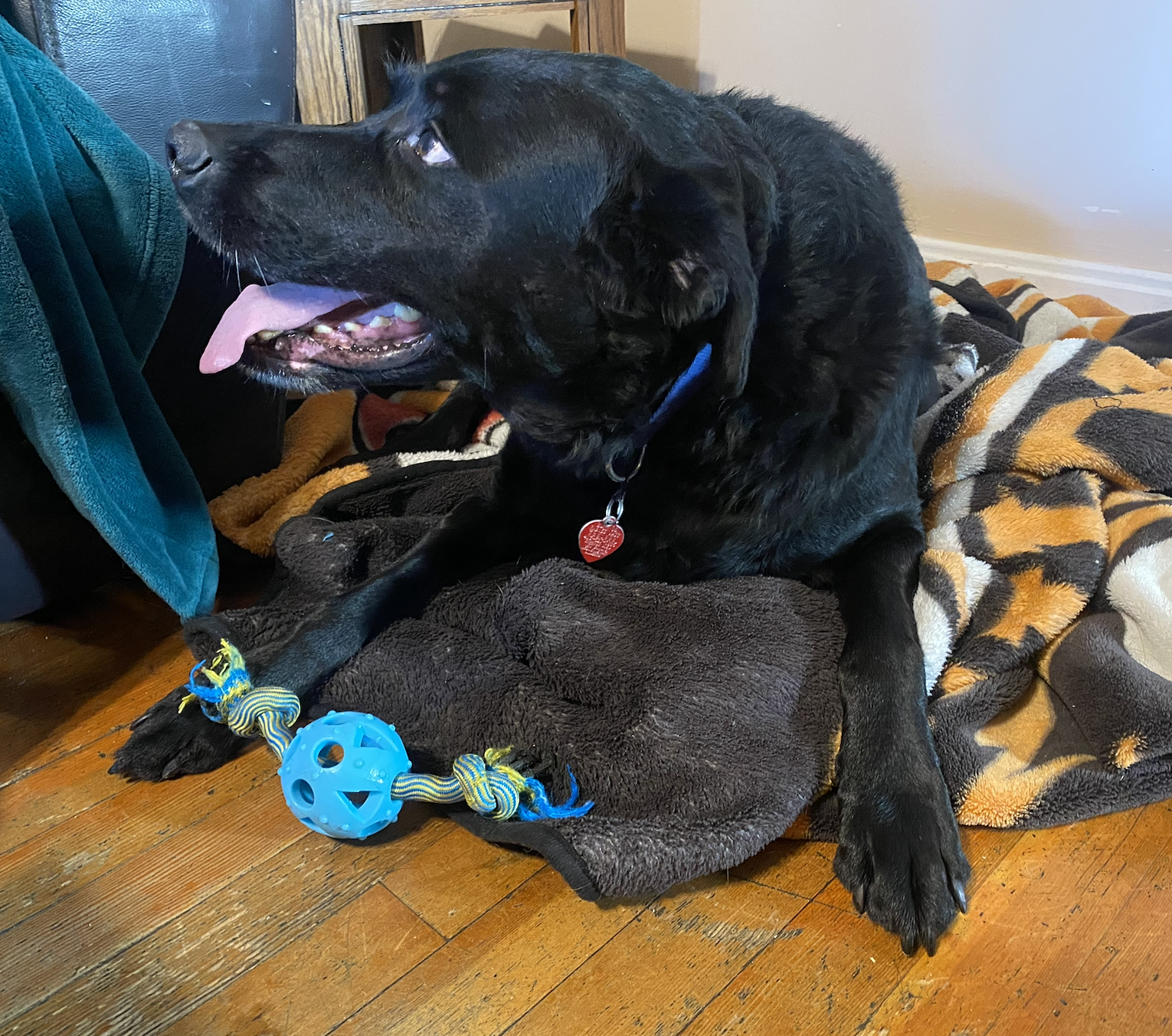 Screenshot 2026-03-15 at 5.38.44 PM.png