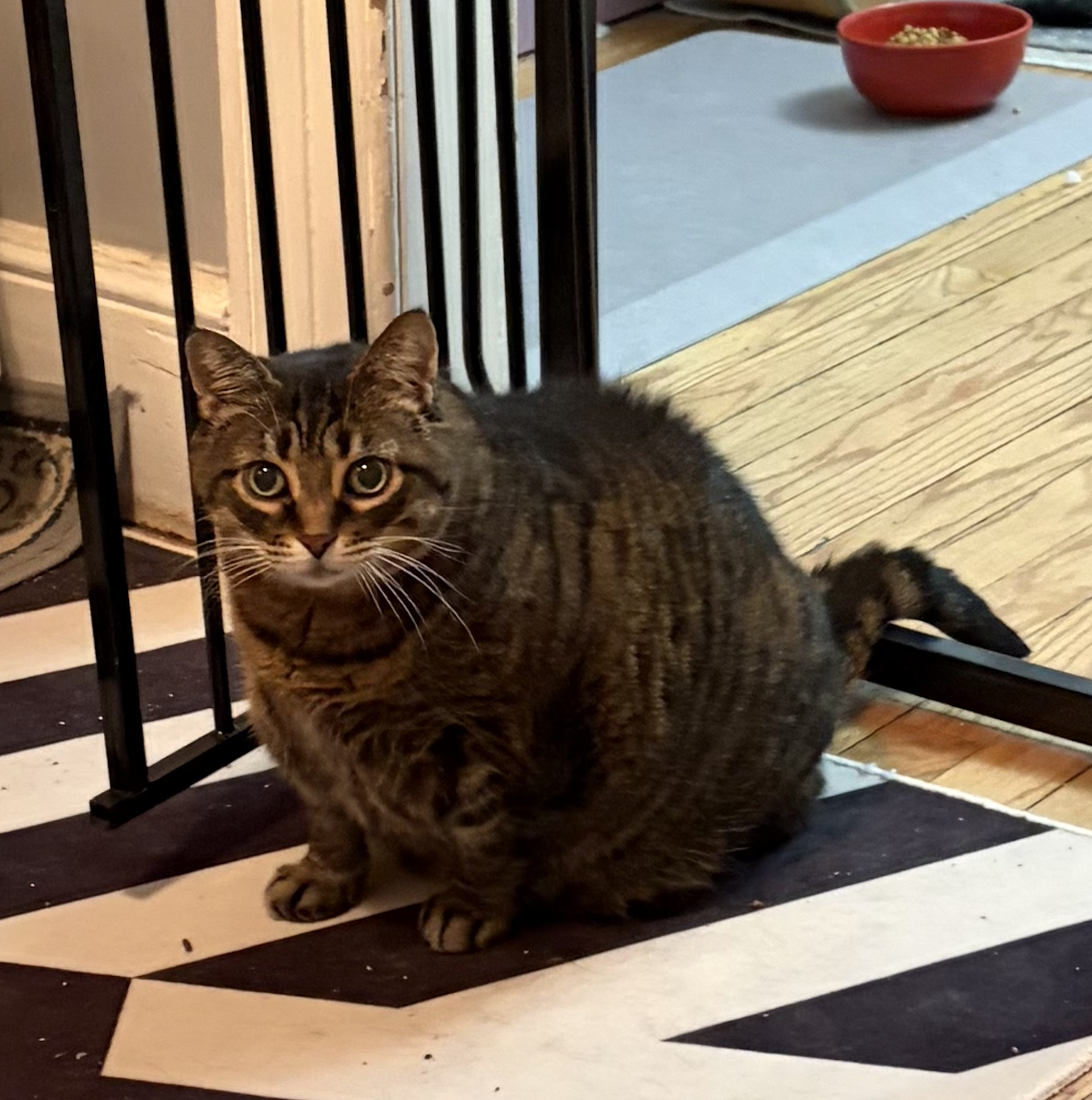 Screenshot 2026-04-02 at 12.45.46 PM.png