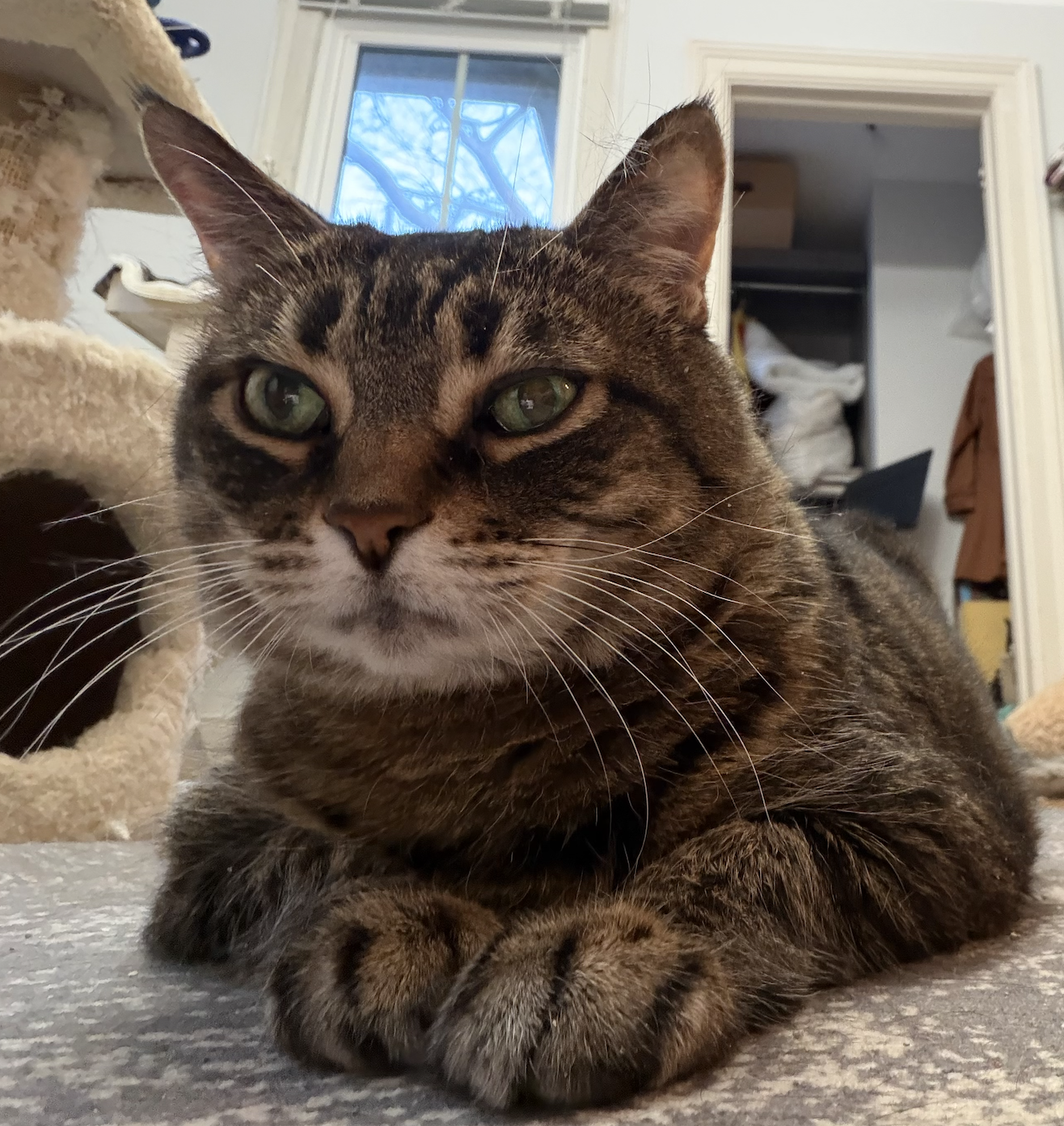 Screenshot 2026-04-02 at 12.46.04 PM.png