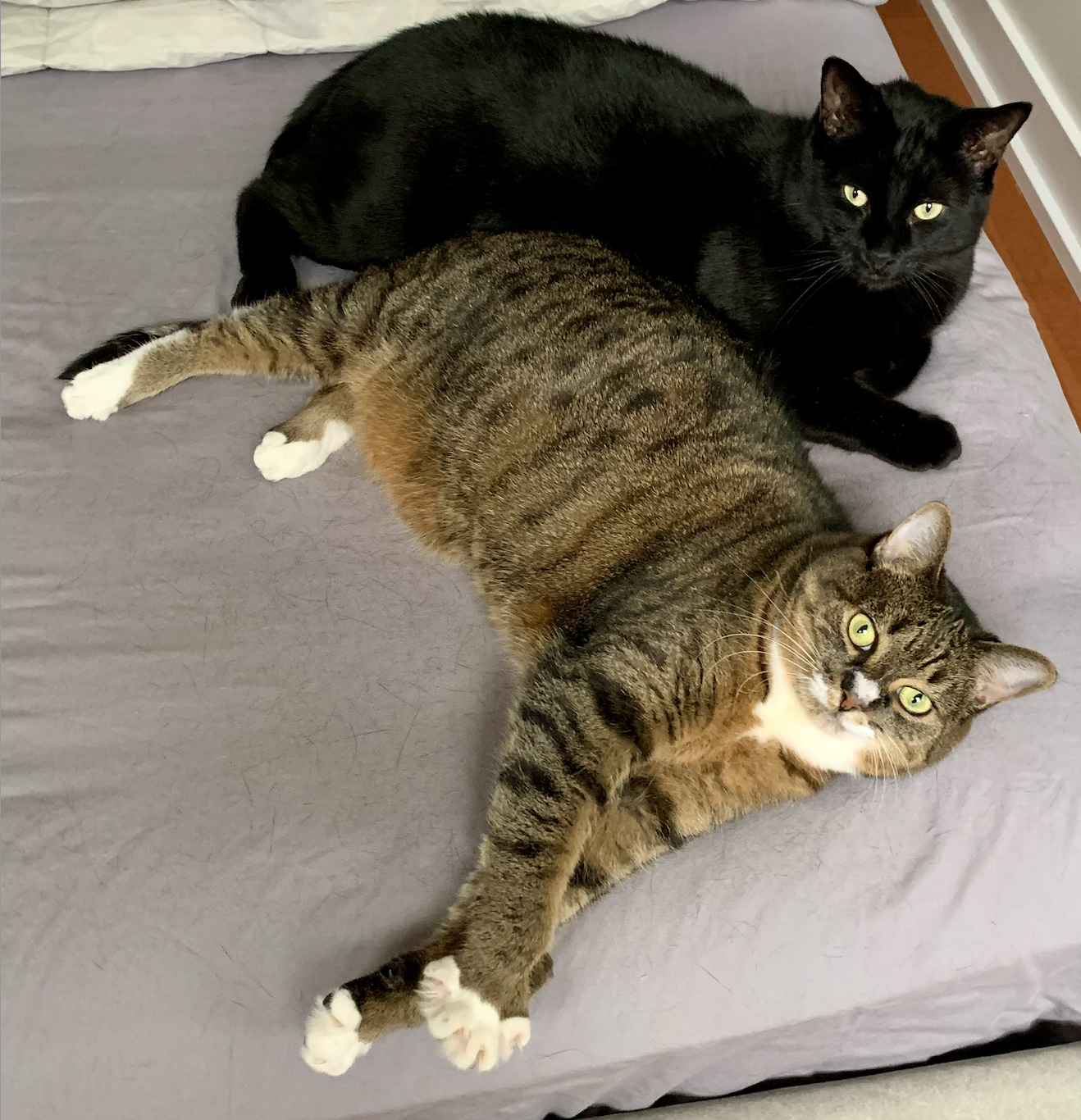 Screenshot 2026-04-07 at 10.07.13 AM.png