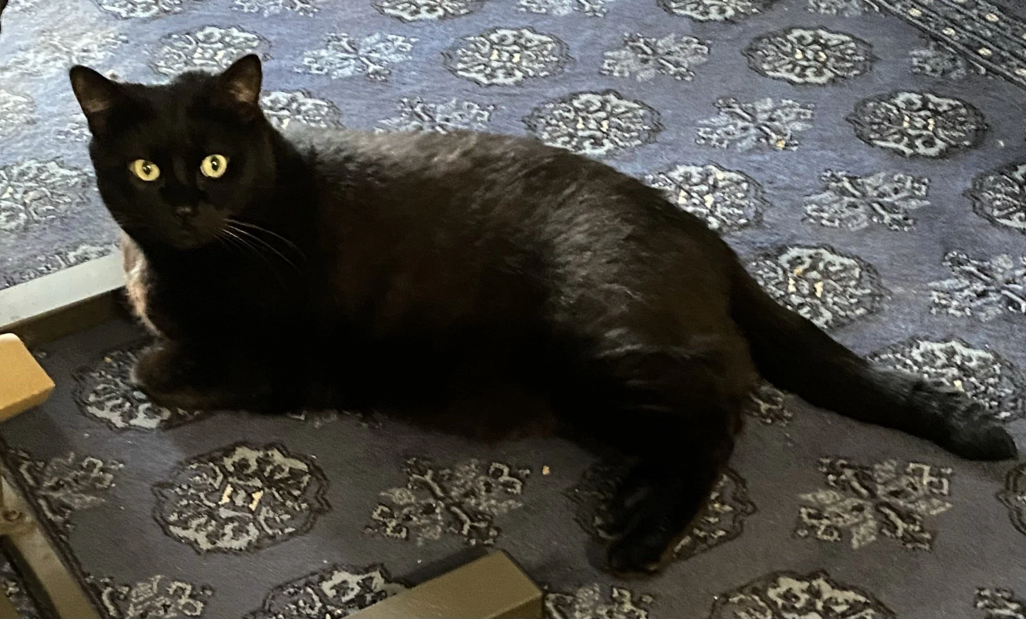 Luna with stunning backdrop.jpg