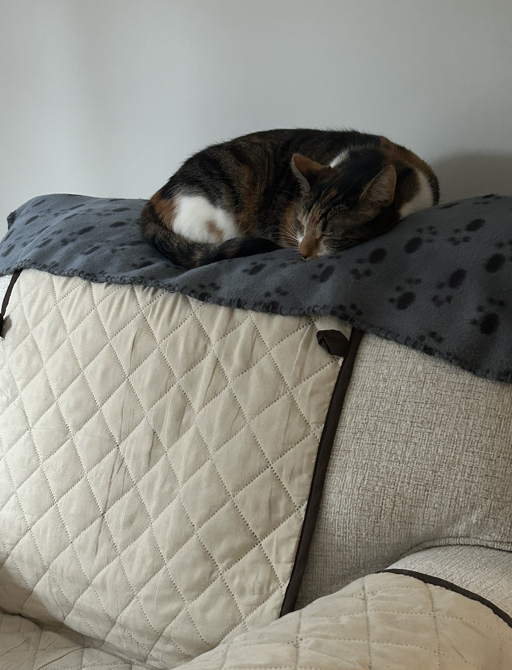 Screenshot 2026-04-16 at 9.41.44 AM.png