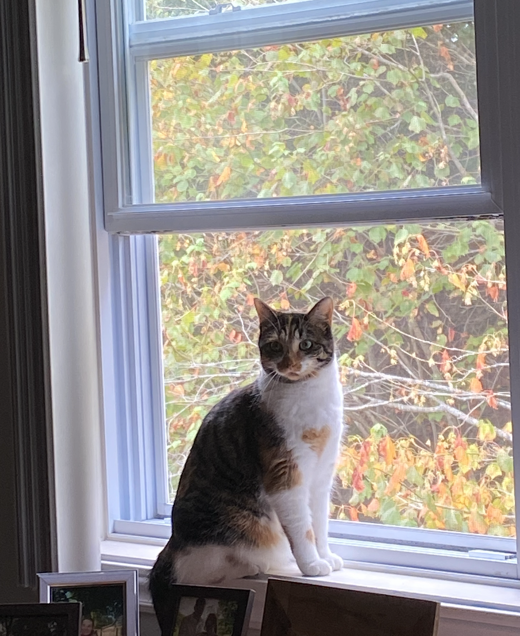 Screenshot 2026-04-16 at 9.41.58 AM.png