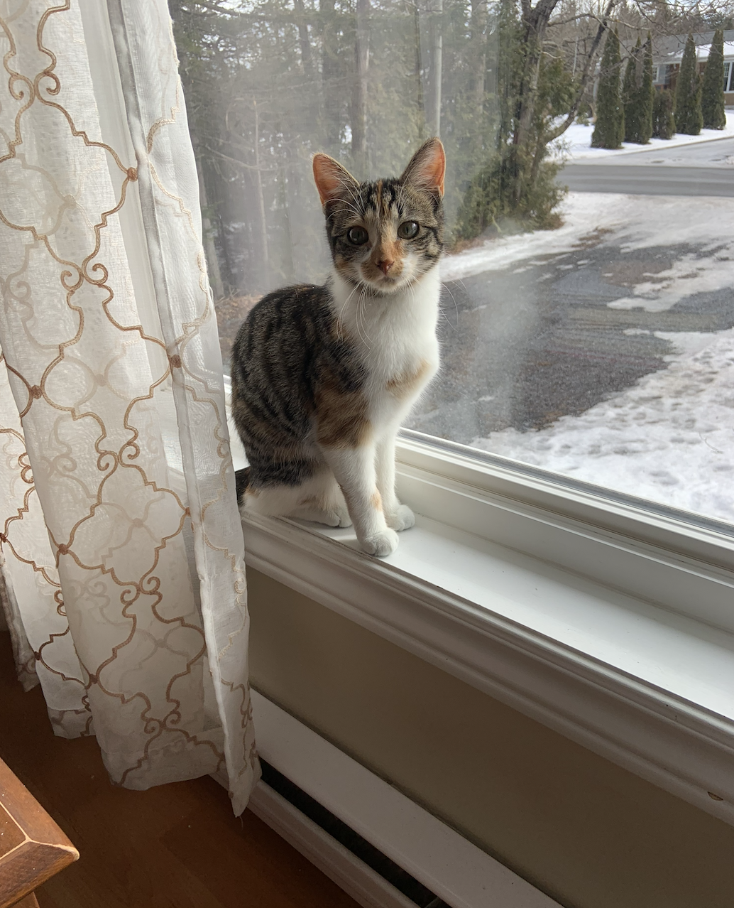 Screenshot 2026-04-16 at 9.41.01 AM.png