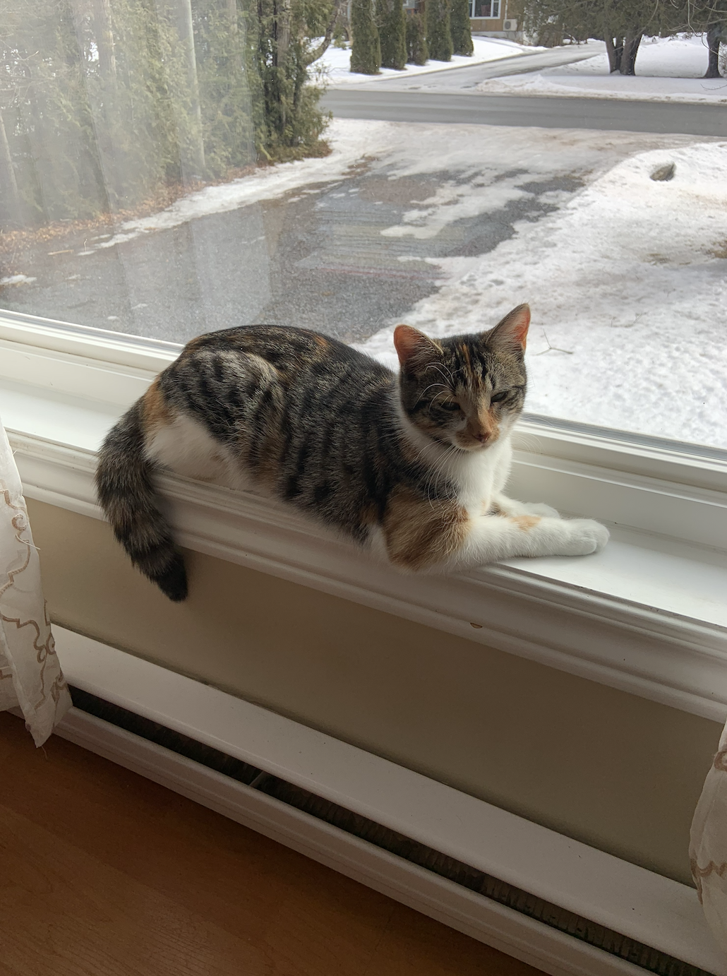 Screenshot 2026-04-16 at 9.41.19 AM.png