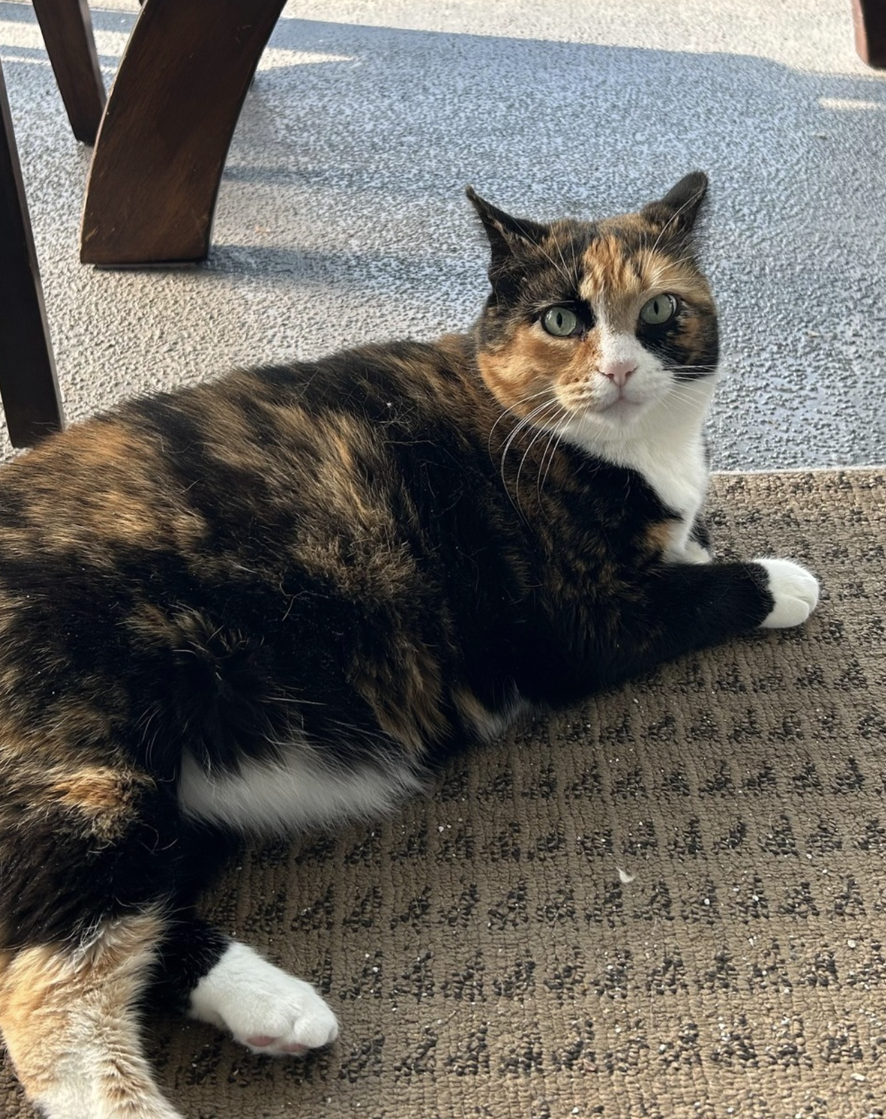 Screenshot 2026-04-20 at 7.25.07 PM.png