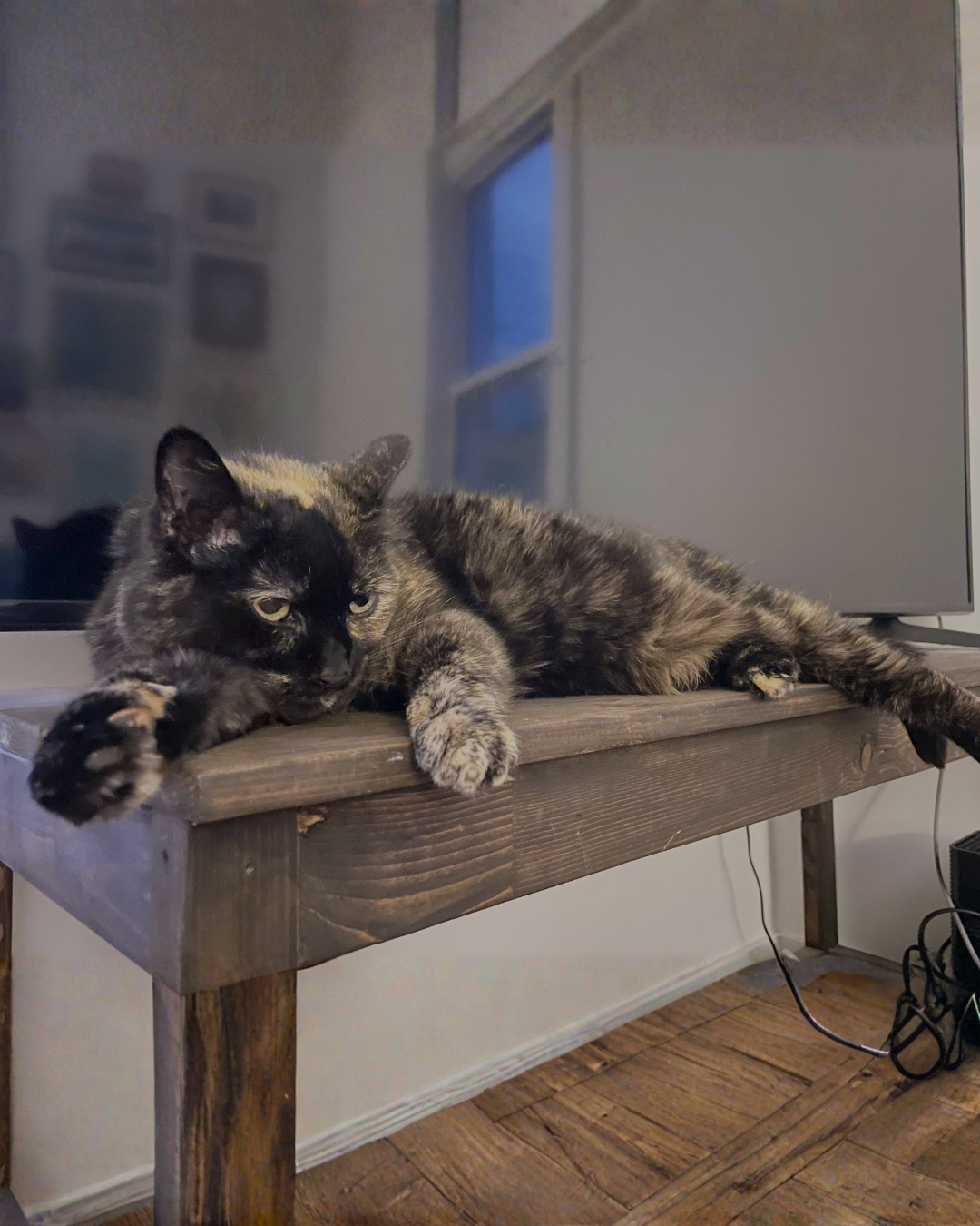 Social Adoptable 2 (43).png