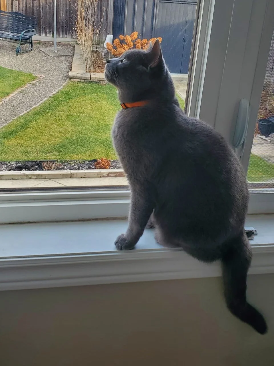 dusty 3.jpg