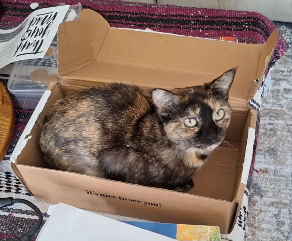 Cinnamon