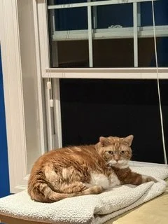 image1.jpeg