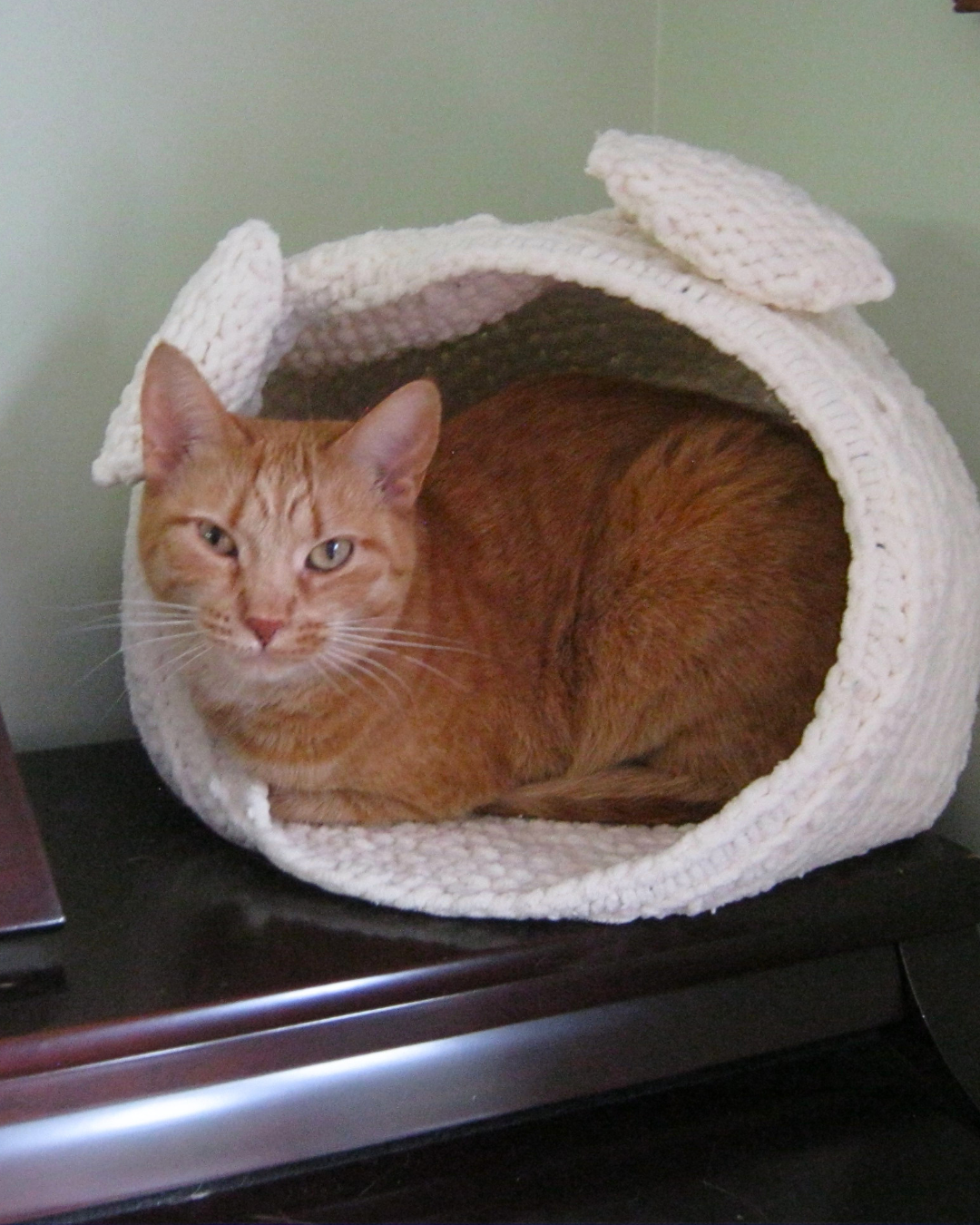 Social Adoptable 3 (4).png