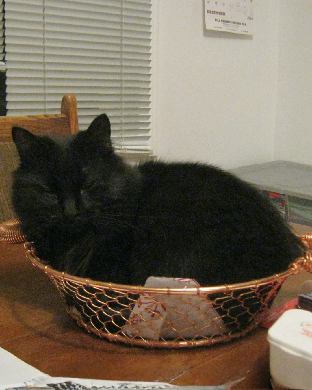 Social Adoptable 3 (5).png