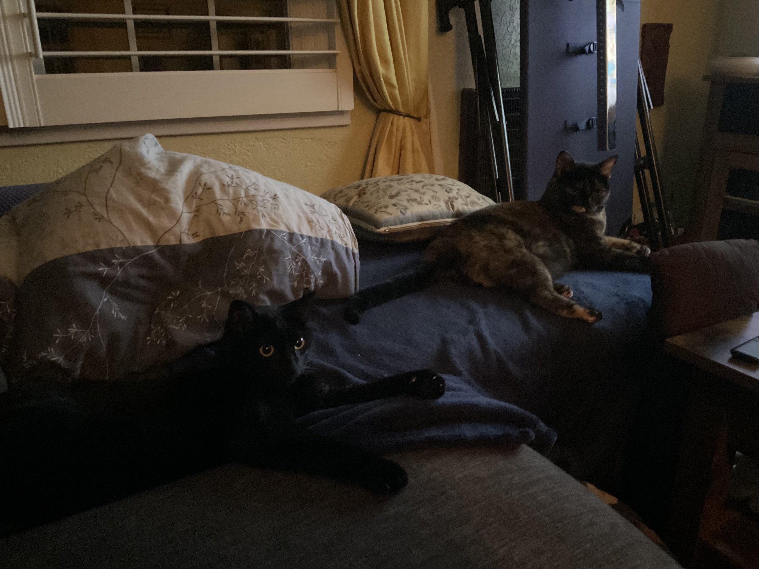 image2 (3).jpeg