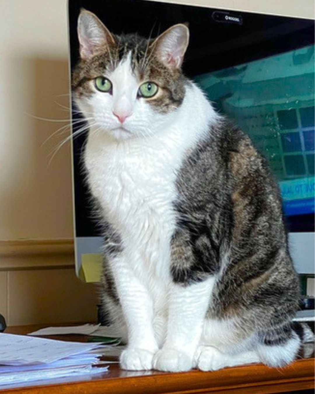 Tom