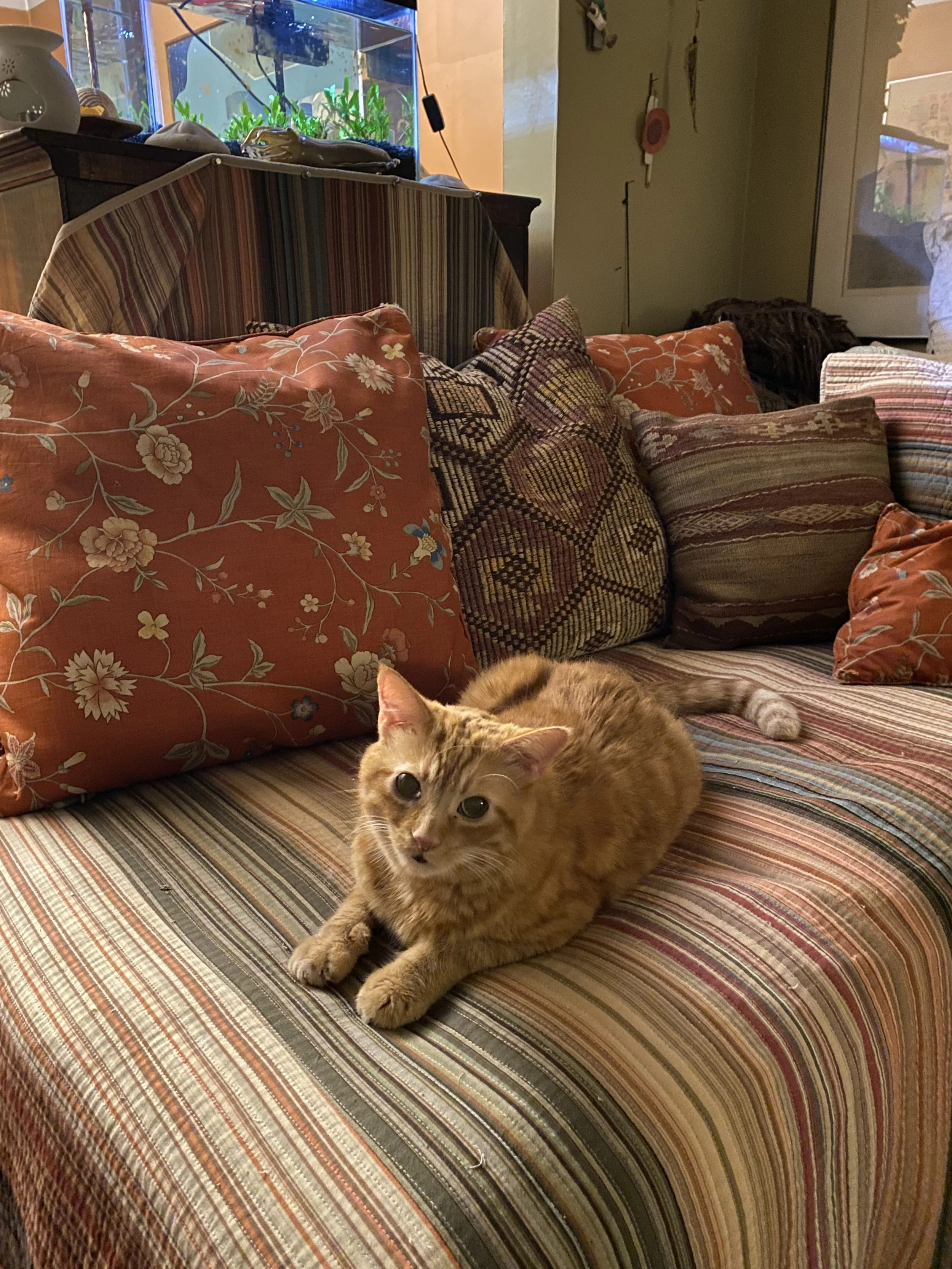 First hour in his new home Oct-01-2023.jpg