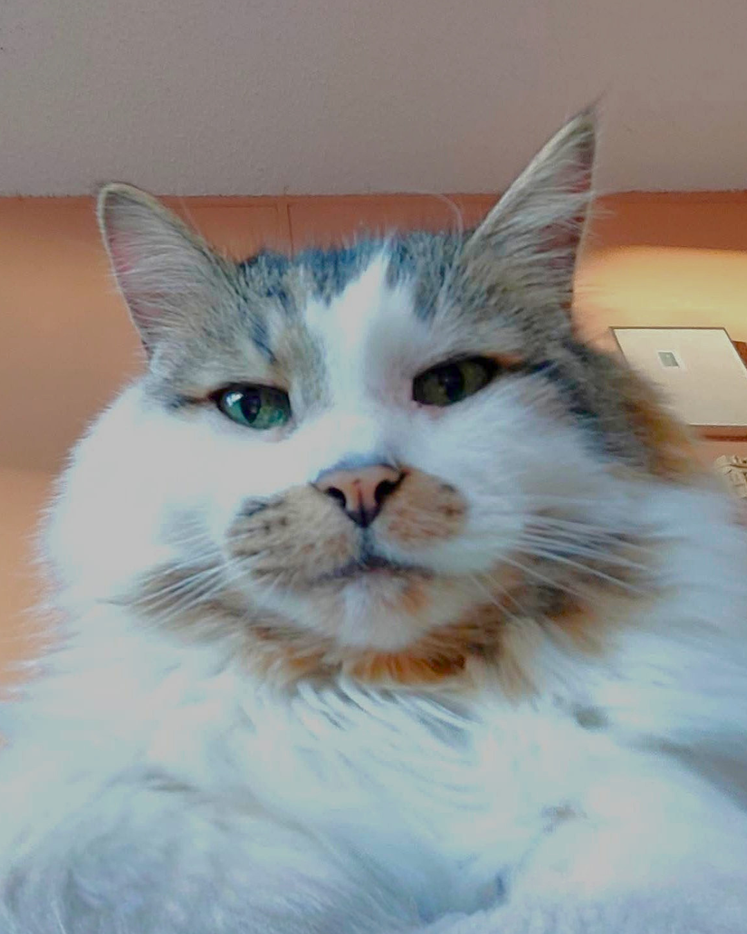 78.png