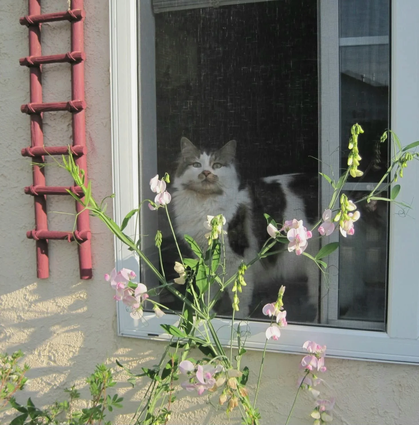 Darryl by flowers aw.jpeg