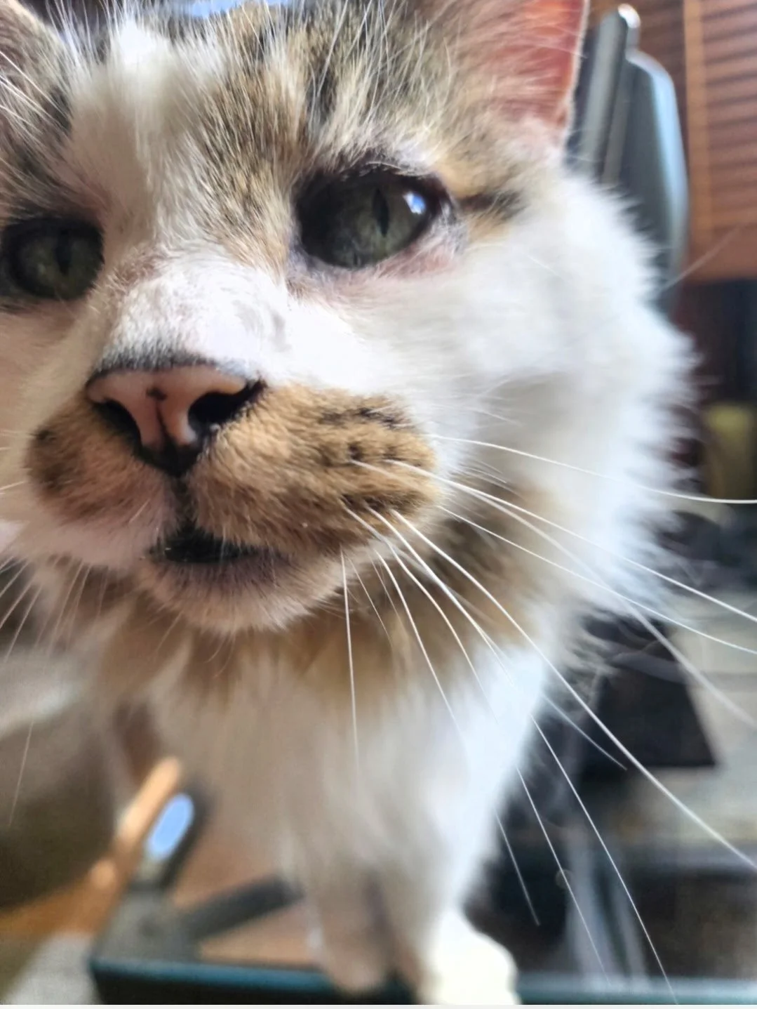 Darryl checking out the camera.jpeg