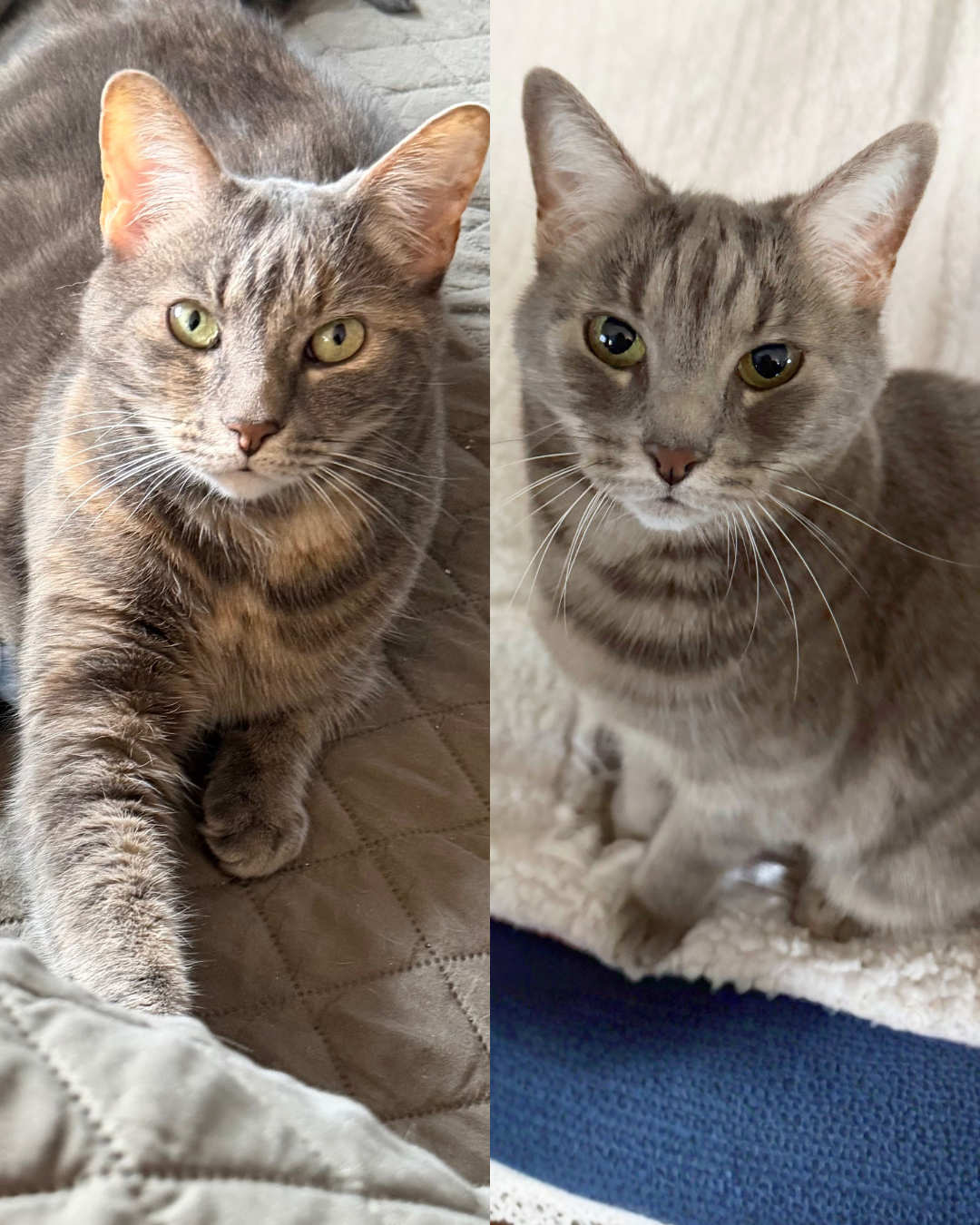 Zena and Zoey
