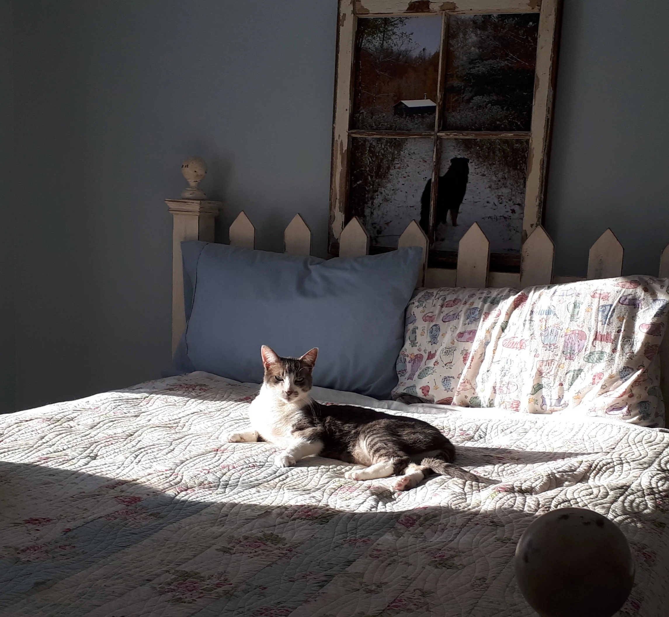 20220118_095804.jpg