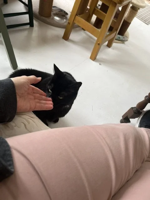 IMG_5818.jpeg