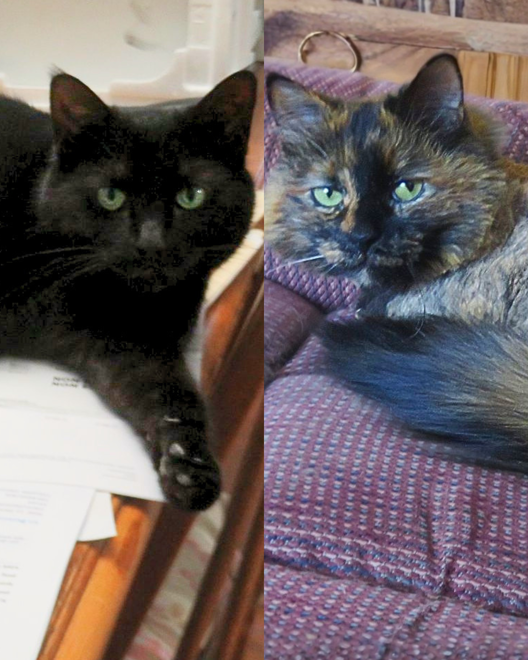 Lucy and Juney