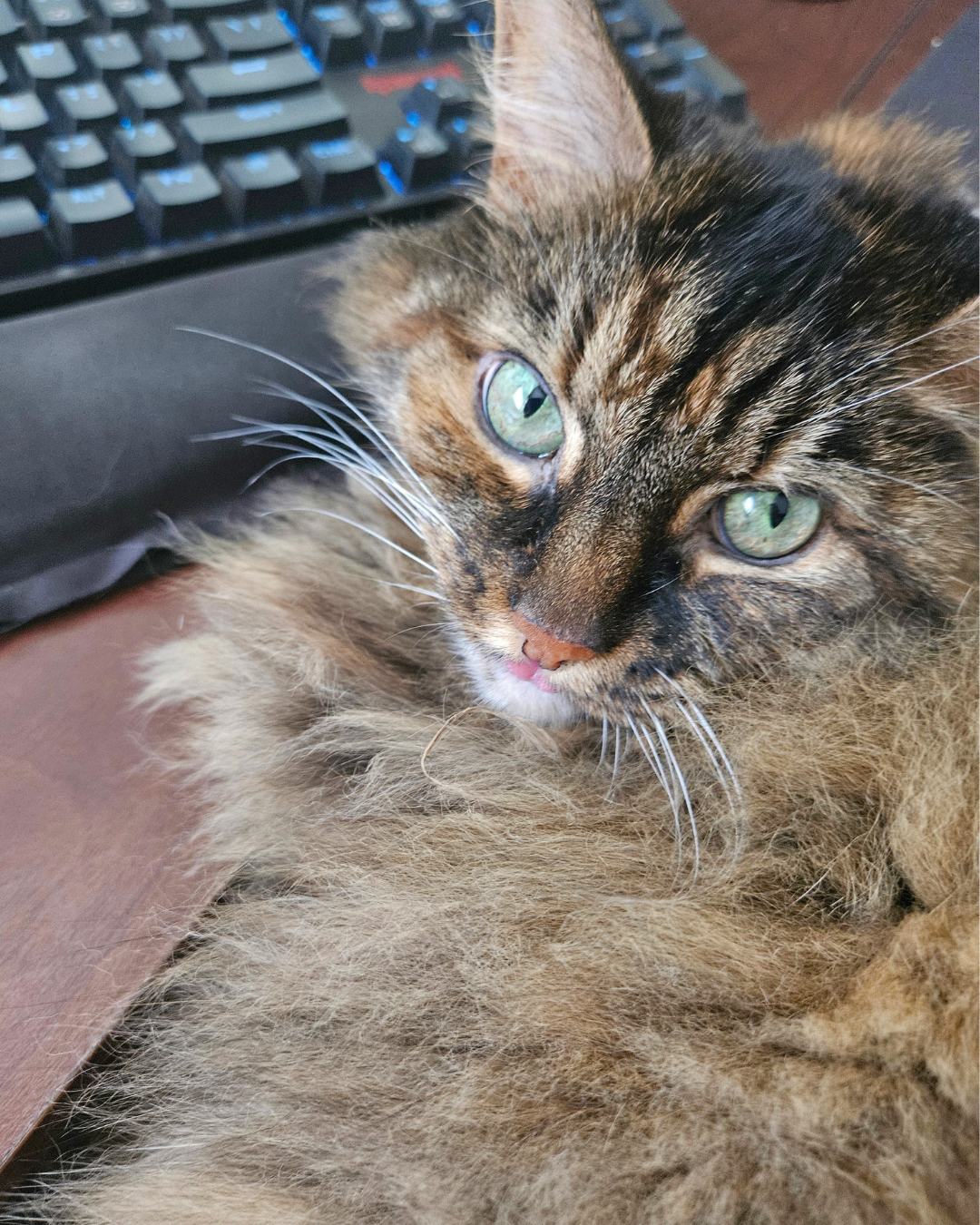 Suzie