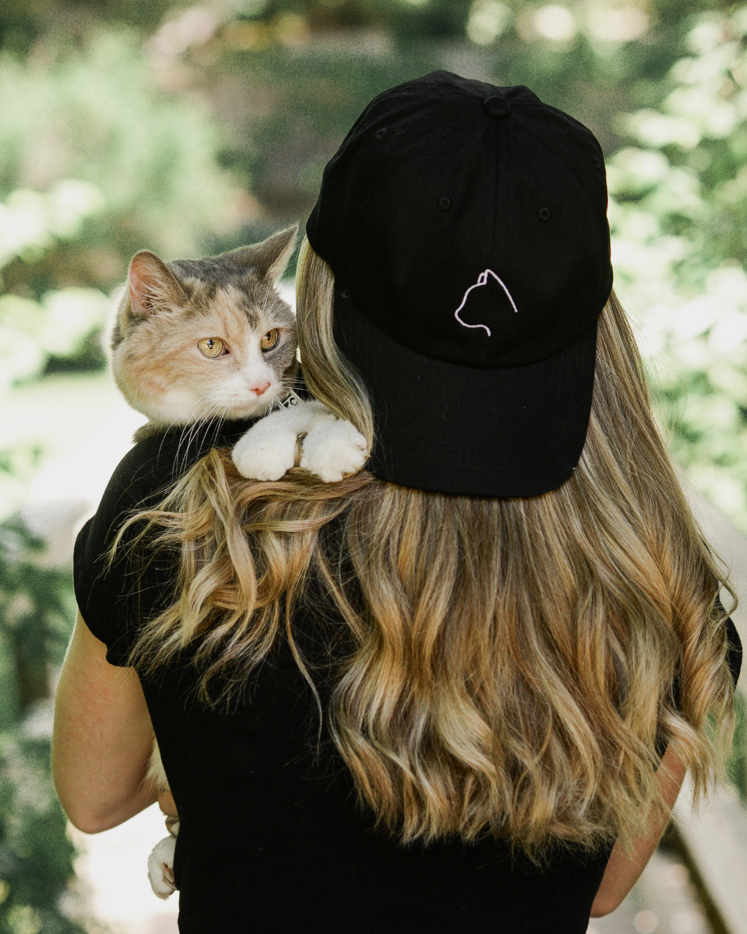 The Mackenzie Fund.png