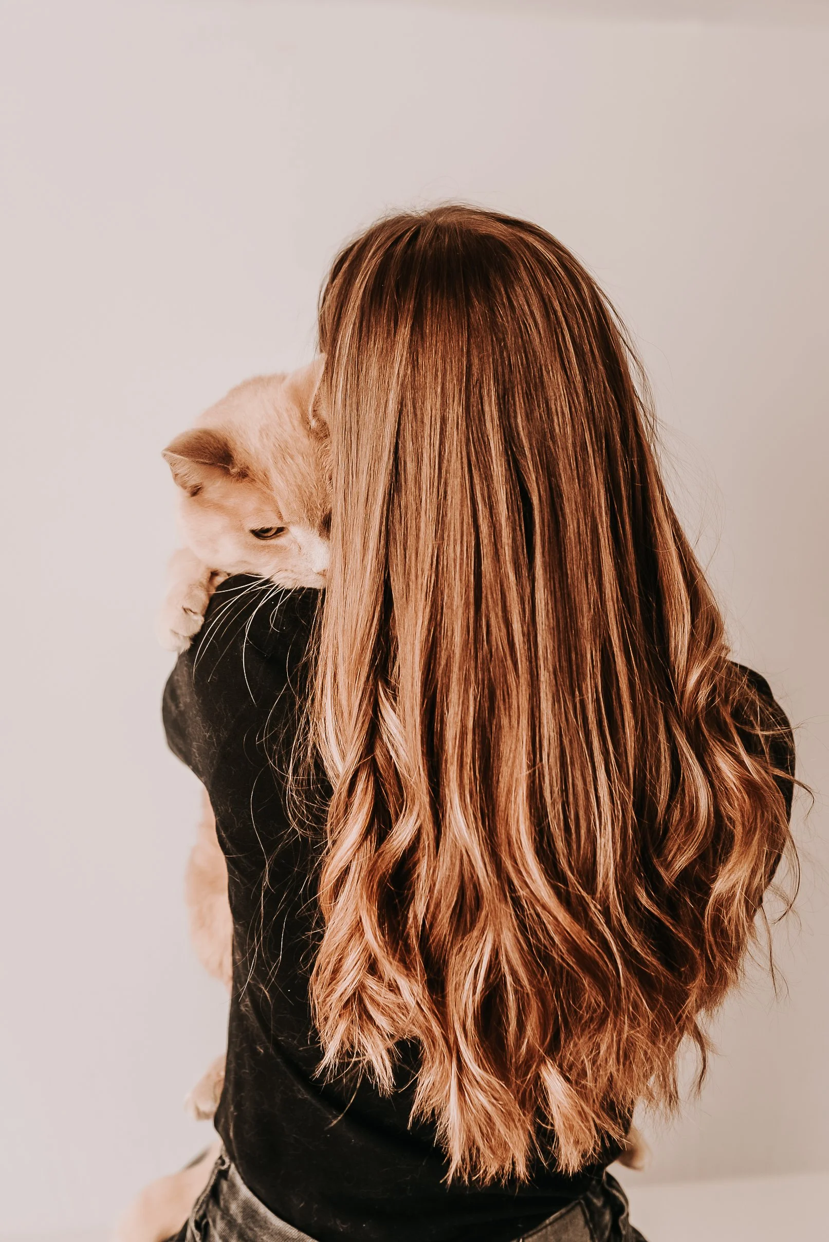 our story — My Grandfather's Cat