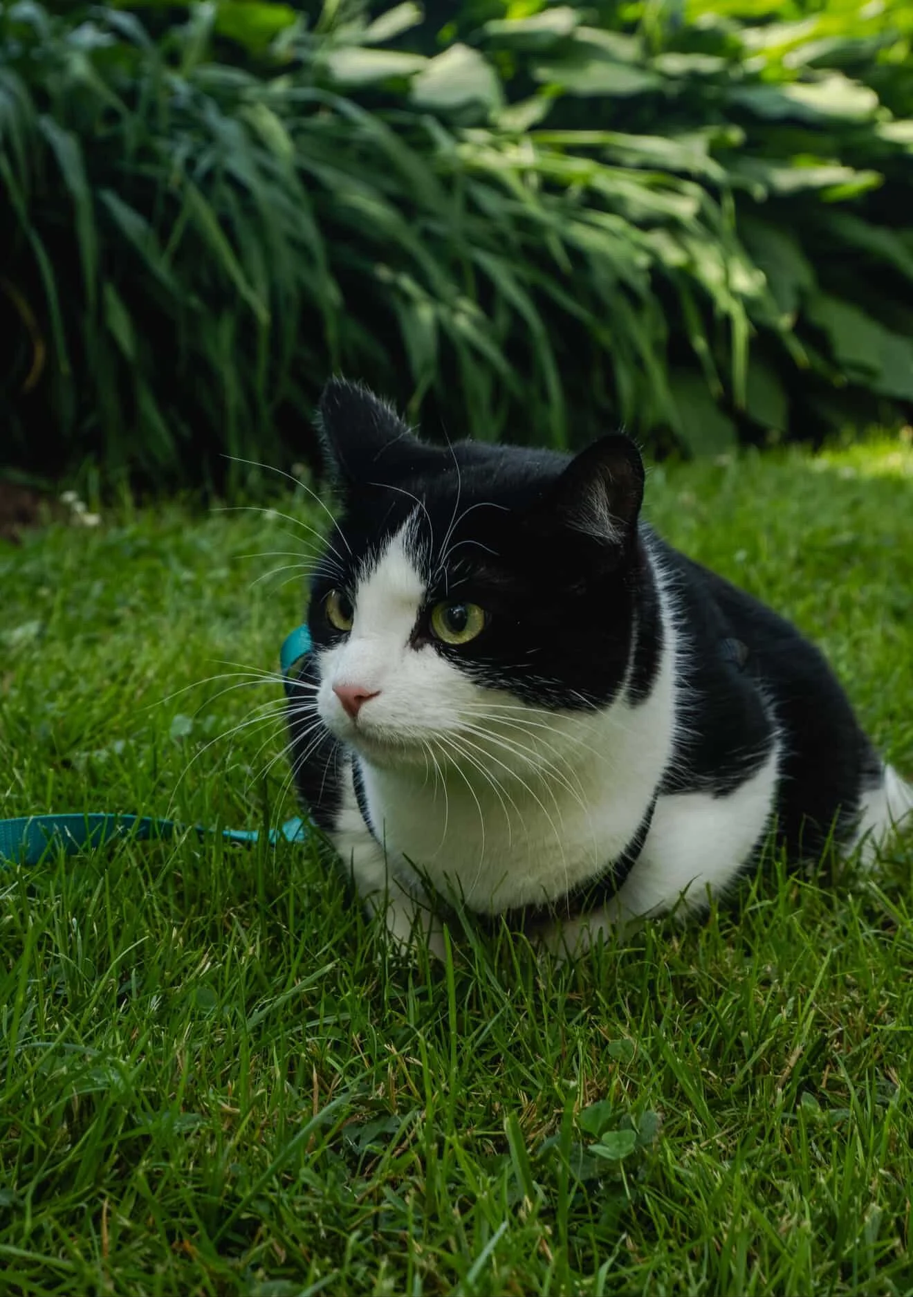 993DCFCC-CB37-4C9A-916C-D006BDF06C97 2.JPG