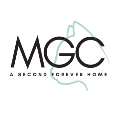 our story — My Grandfather's Cat