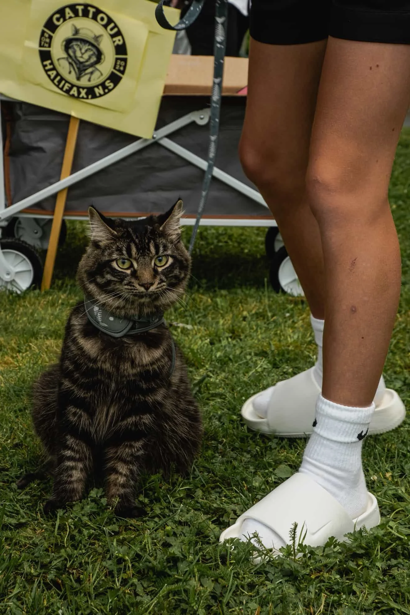 2EE10425-009C-4C54-9EC8-75434D5DC915 2.JPG