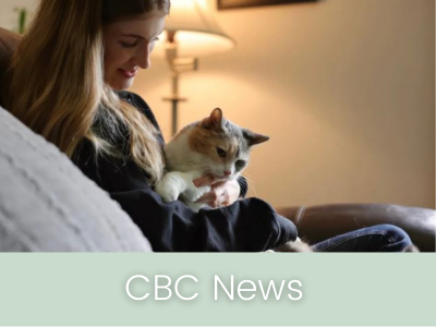 media — My Grandfather's Cat