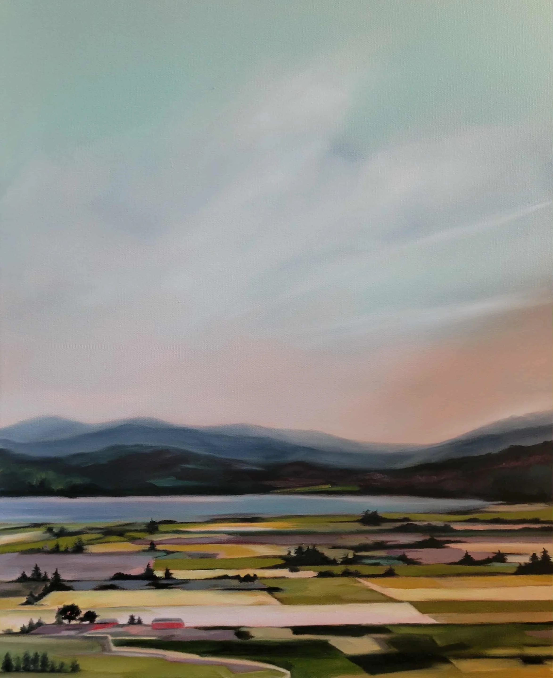 Skagit Farmland.jpeg