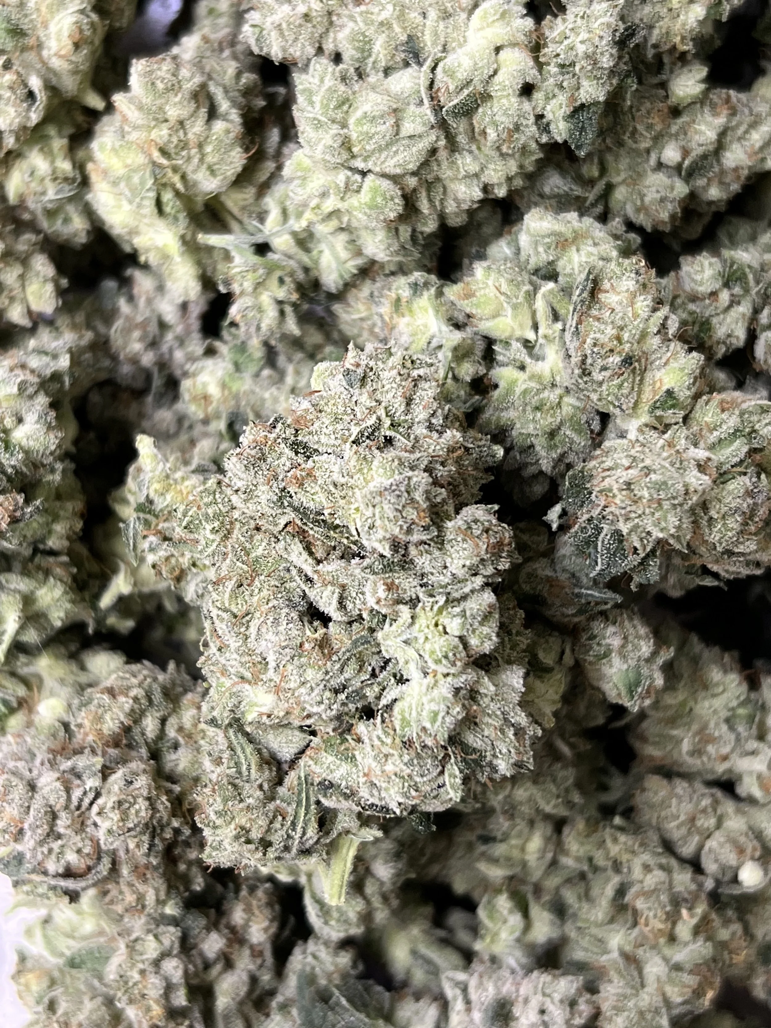 gorilla glue 4.jpg