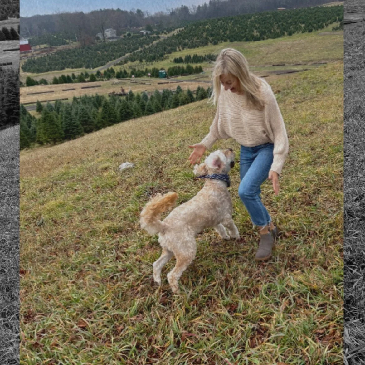 Me: &ldquo;Otto, sit still for two seconds.&rdquo; 
Otto: 🫡🤪

#doglife #goldendoodles