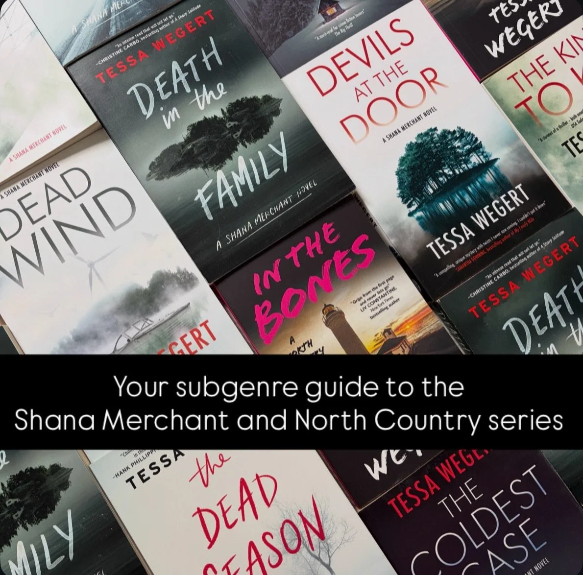 Let&rsquo;s talk subgenres. Many of today&rsquo;s mystery and thriller books cross or combine them to subvert reader expectations, deepen stories, or just deliver more crime fiction fun. 

Here&rsquo;s what you can expect from mine (and no, you don&r