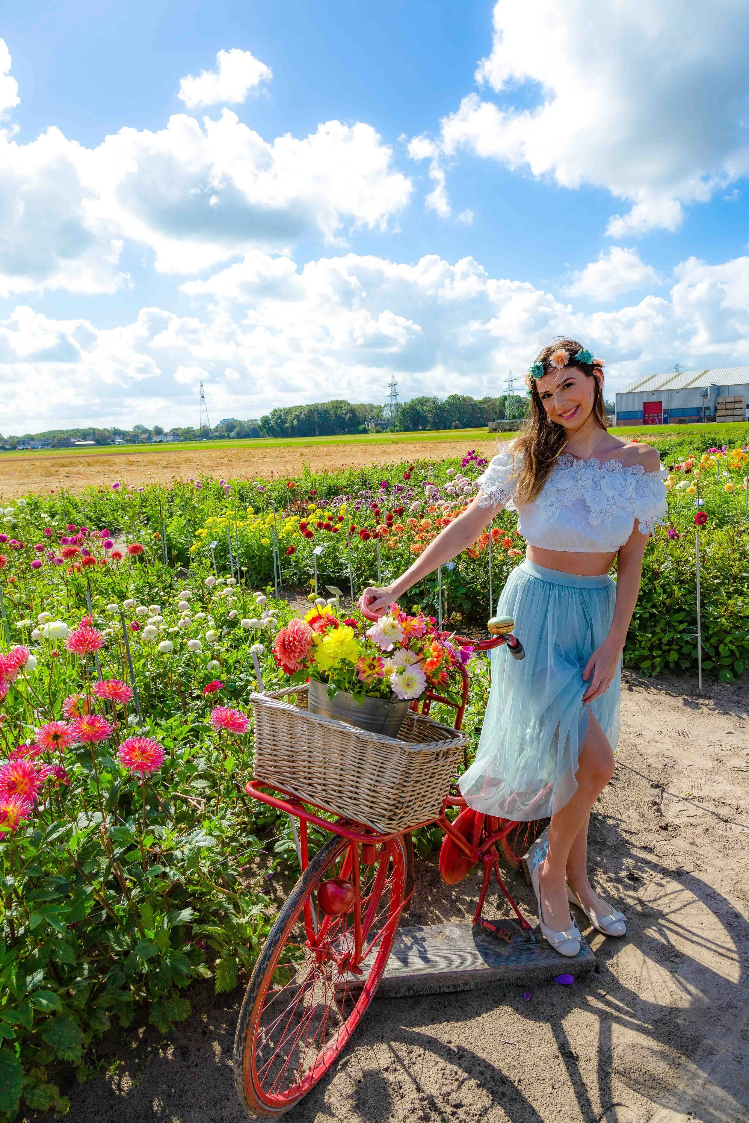 De Tulperij Flower Bike.JPG