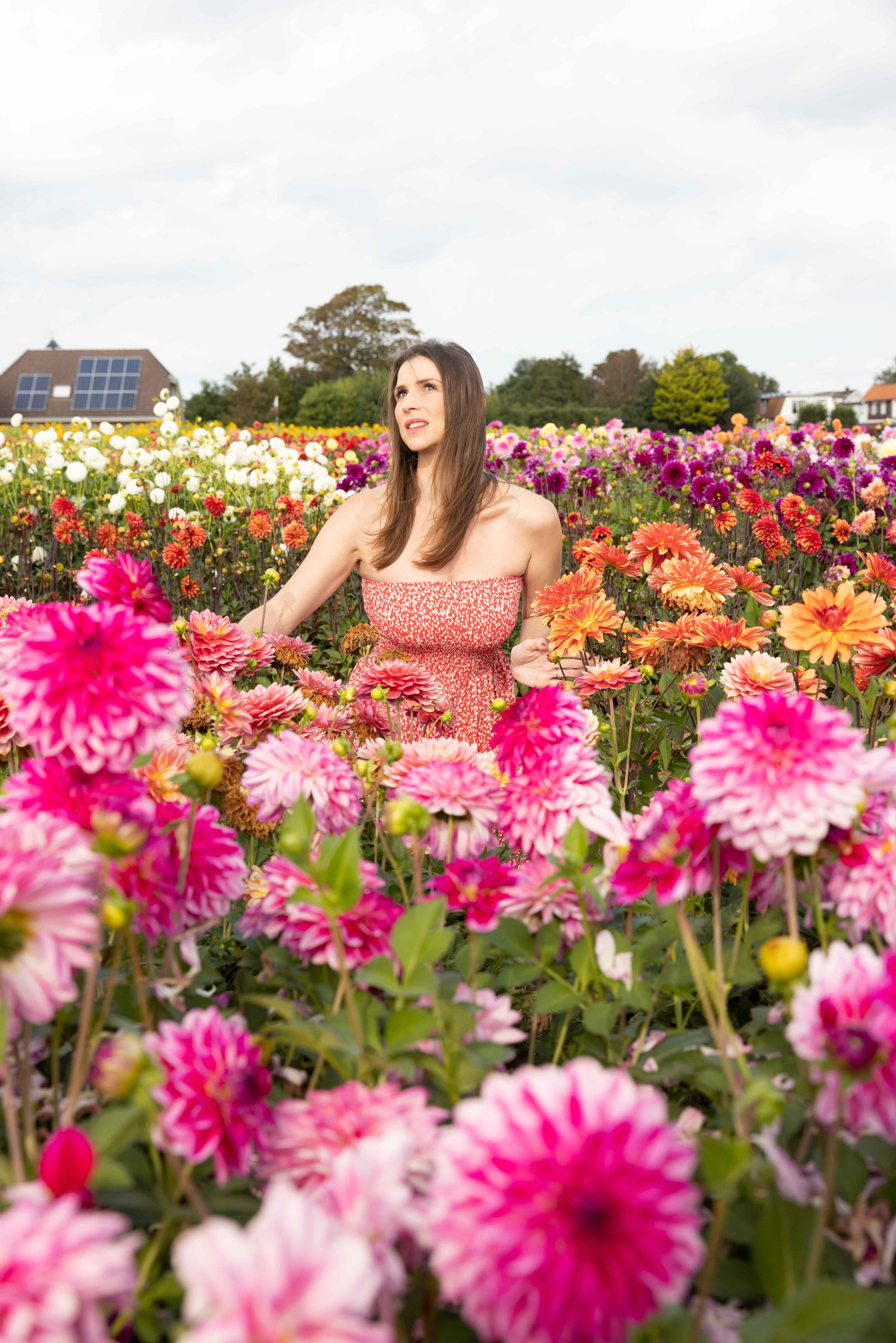 Tulip Barn Flower Garden.JPG