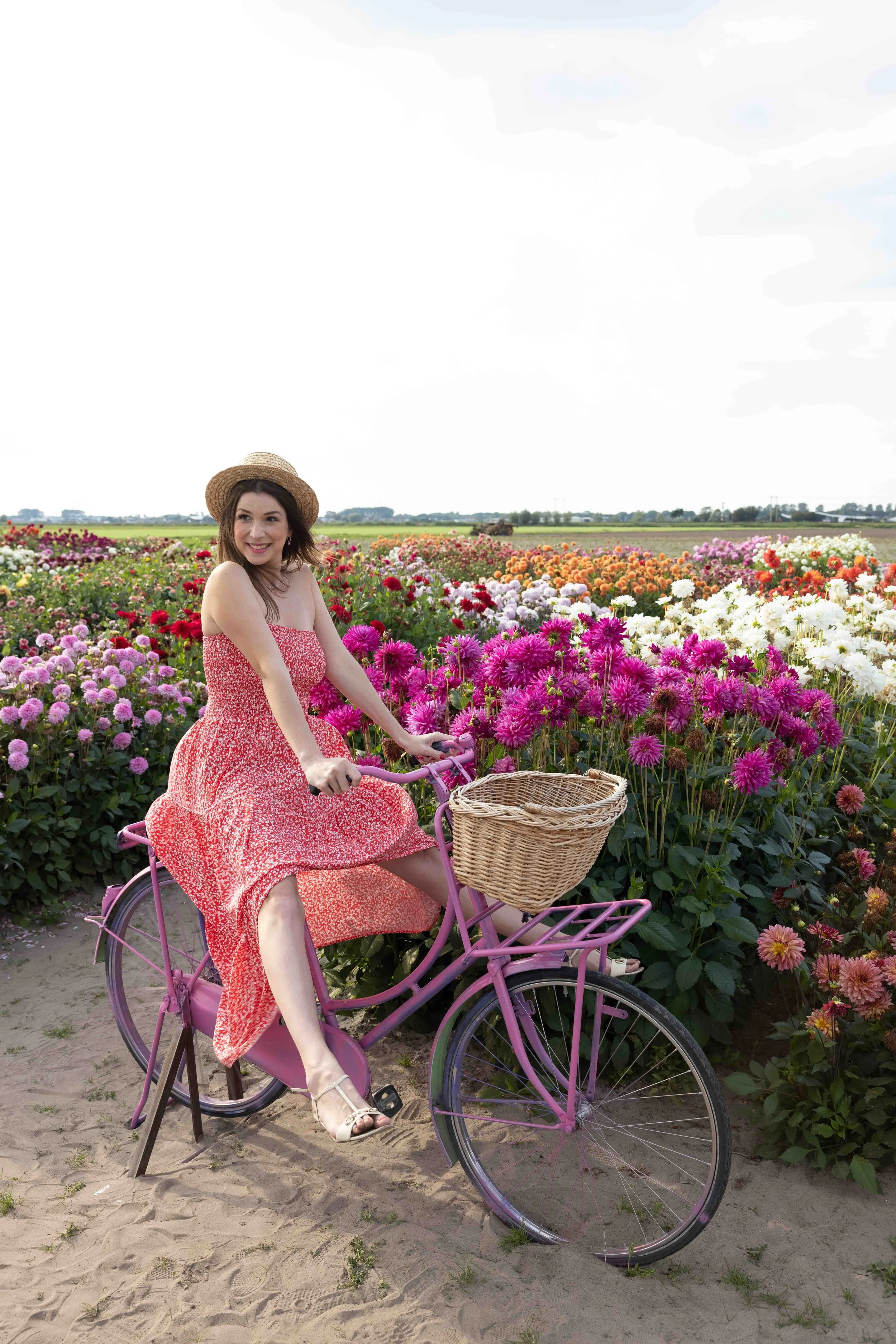 Tulip Barn.JPG