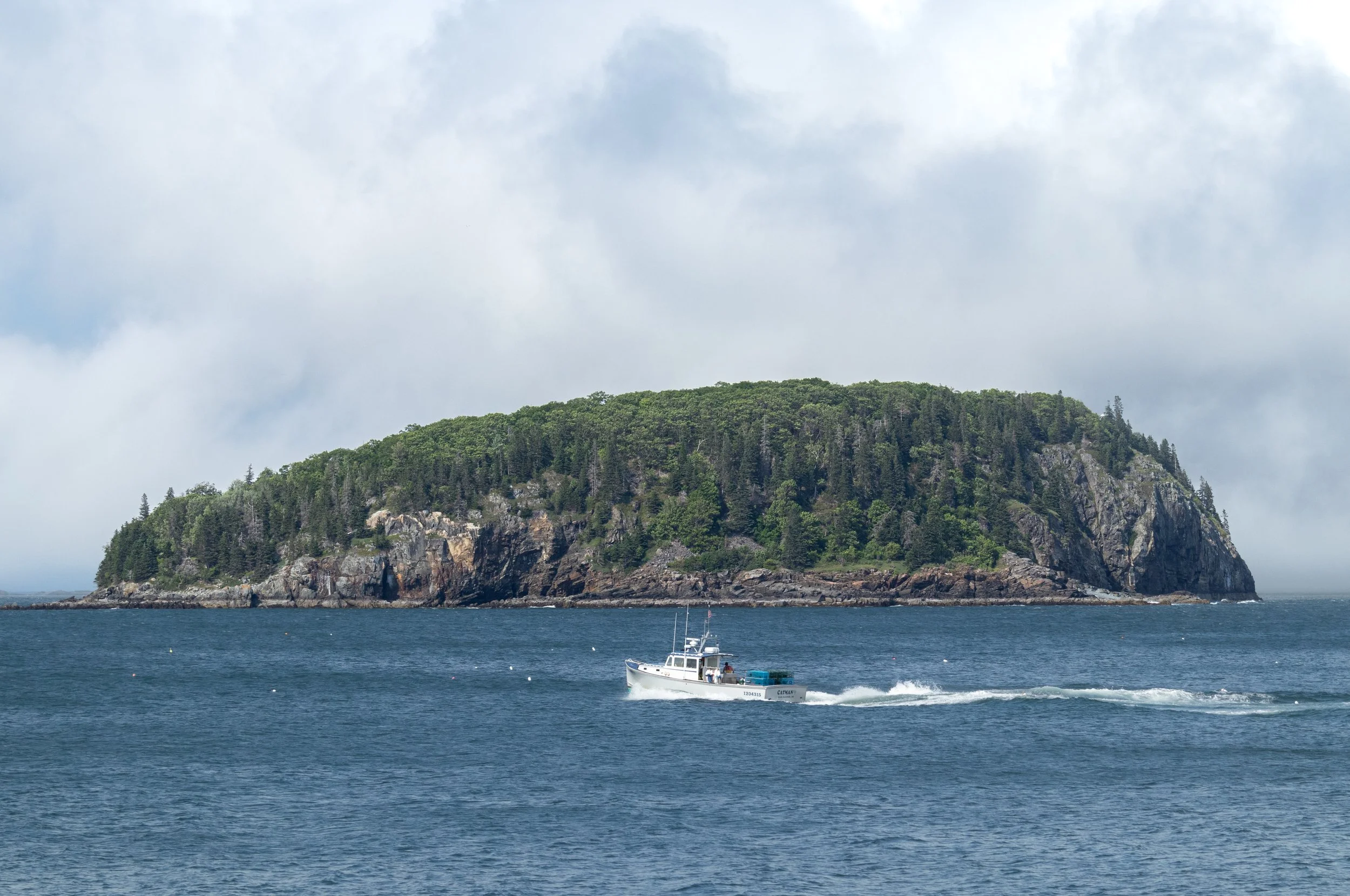 Acadia-6.jpg