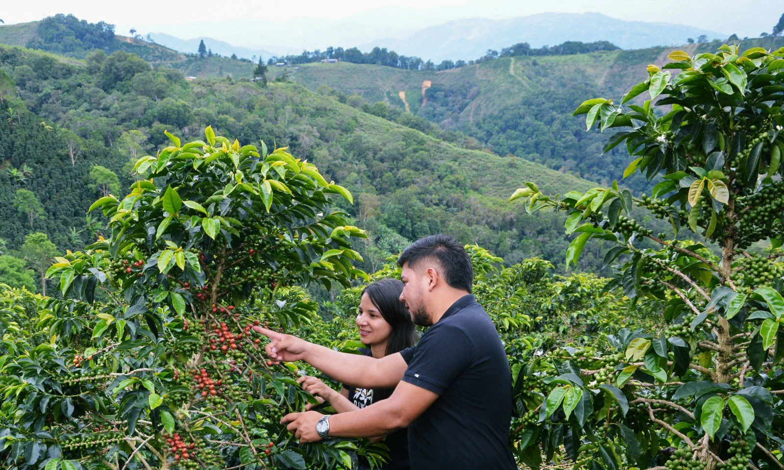 Cafe_Imports_Colombia_Diego_Parra_Beltran-2-2026-07-08-175806.jpg